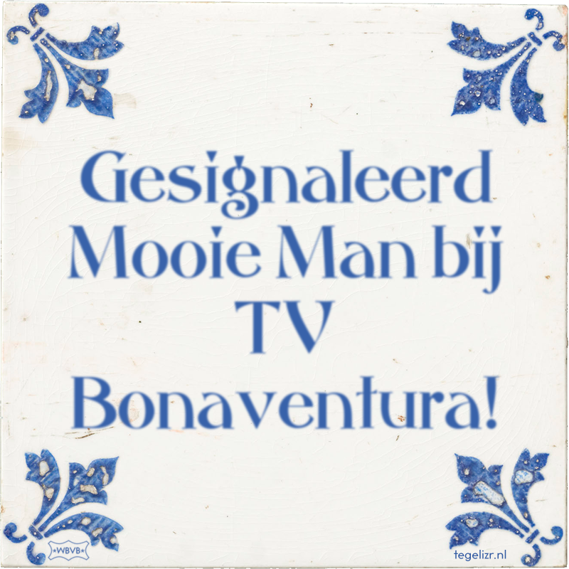 Gesignaleerd Mooie Man bij TV Bonaventura! - Online tegeltjes bakken