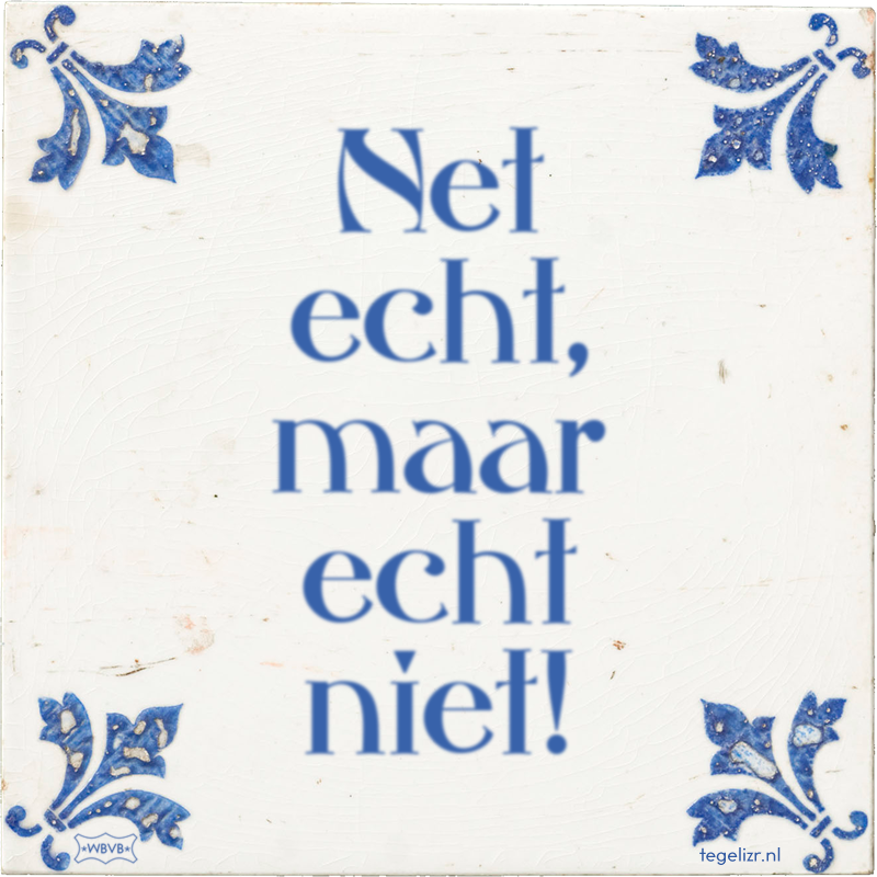 Net echt, maar echt niet! - Online tegeltjes bakken