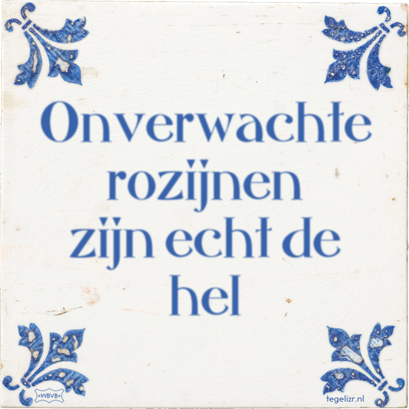 Onverwachte rozijnen zijn echt de hel - Online tegeltjes bakken