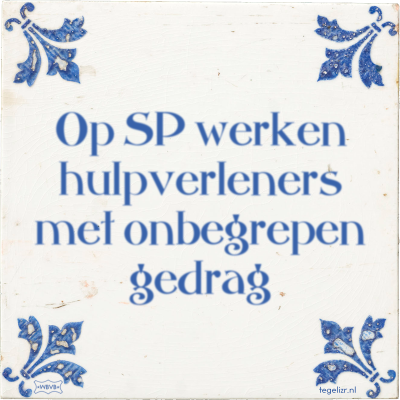 Op SP werken hulpverleners met onbegrepen gedrag - Online tegeltjes bakken