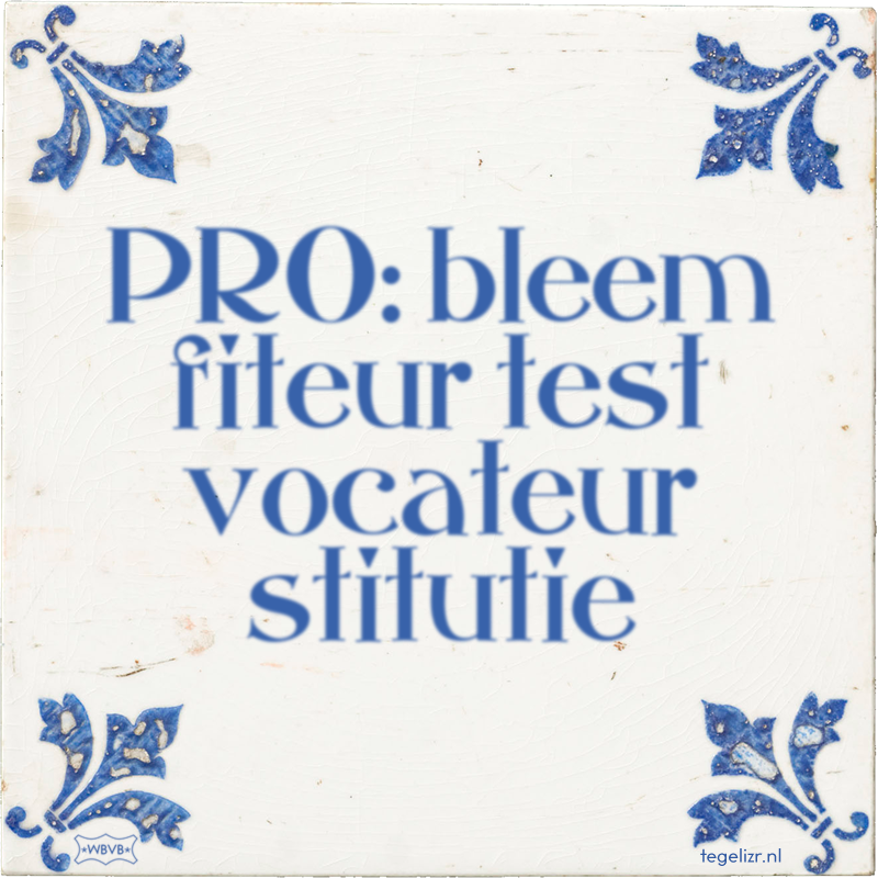 PRO: bleem fiteur test vocateur stitutie - Online tegeltjes bakken