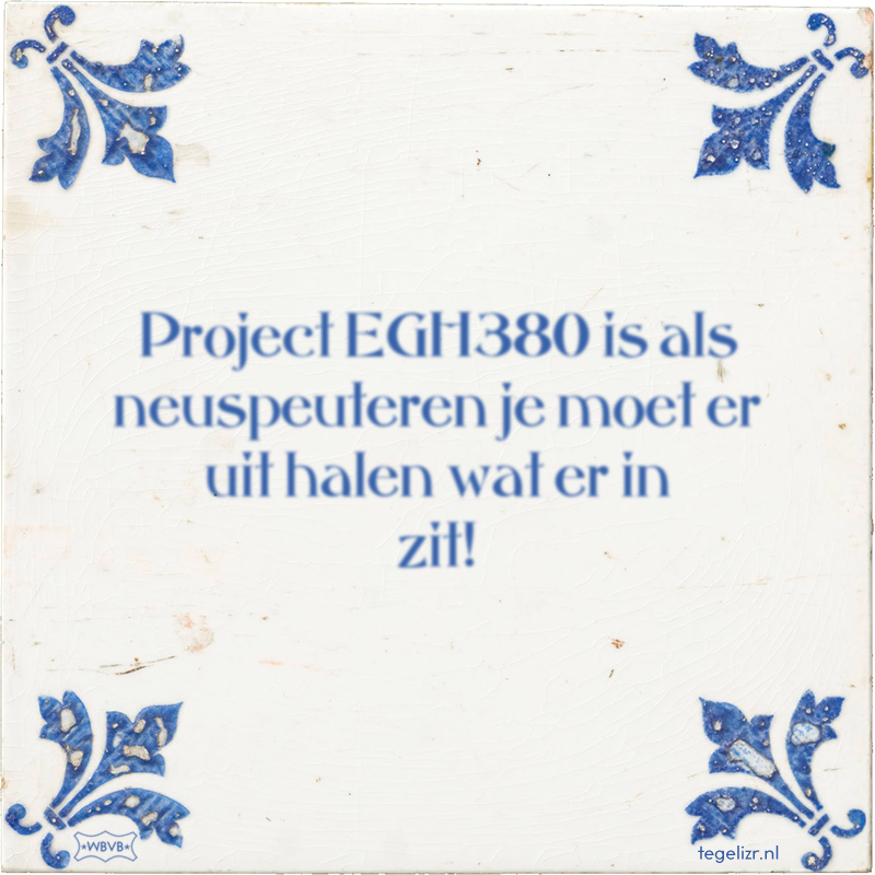 Project EGH380 is als neuspeuteren je moet er uit halen wat er in zit! - Online tegeltjes bakken