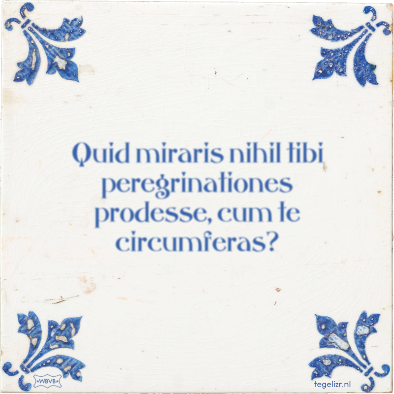 Quid miraris nihil tibi peregrinationes prodesse, cum te circumferas? - Online tegeltjes bakken