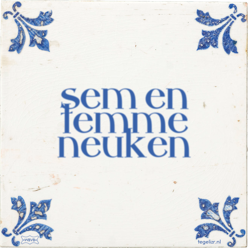 sem en temme neuken - Online tegeltjes bakken