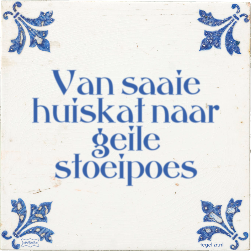 Van saaie huiskat naar geile stoeipoes - Online tegeltjes bakken