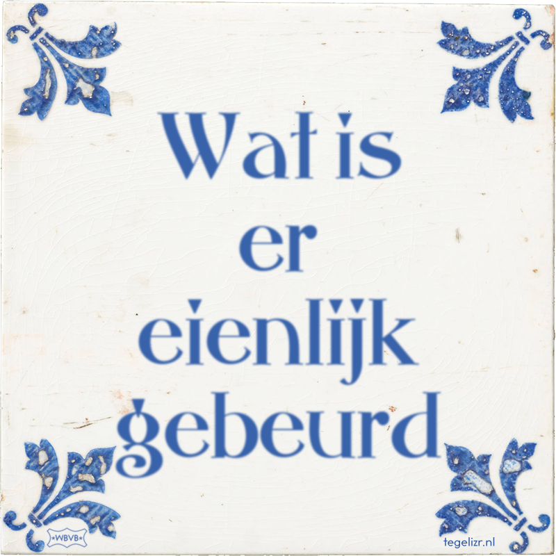 Wat is er eienlijk gebeurd - Online tegeltjes bakken