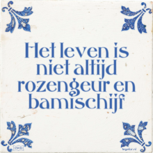 Het leven is niet altijd rozengeur en bamischijf - 2 keer bekeken