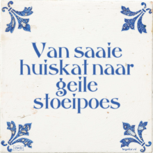 Van saaie huiskat naar geile stoeipoes - 21 keer bekeken