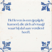 Het leven is een gepijpte kameel, die zich afvraagt waar hij dat aan verdient heeft. - 36 keer bekeken