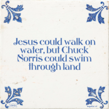 Jesus could walk on water, but Chuck Norris could swim through land - 30 keer bekeken