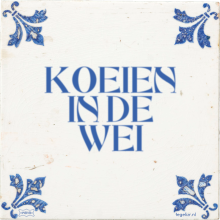 KOEIEN IN DE WEI - 11 keer bekeken