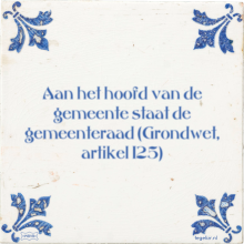 Aan het hoofd van de gemeente staat de gemeenteraad (Grondwet, artikel 125) - 4 keer bekeken