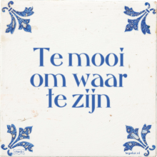 Te mooi om waar te zijn - 7 keer bekeken