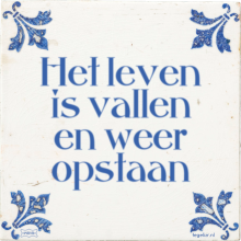 Het leven is vallen en weer opstaan - 13 keer bekeken