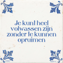 Je kunt heel volwassen zijn zonder te kunnen opruimen - 186 keer bekeken