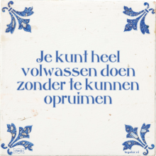 Je kunt heel volwassen doen zonder te kunnen opruimen - 4 keer bekeken