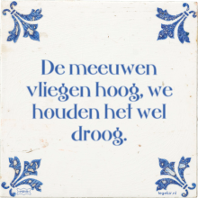 De meeuwen vliegen hoog, we houden het wel droog. - 49 keer bekeken