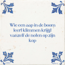 Wie een aap in de boom leert klimmen krijgt vanzelf de noten op zijn kop - 28 keer bekeken