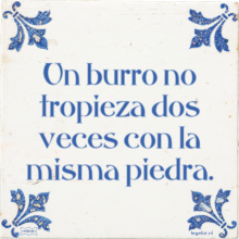 Un burro no tropieza dos veces con la misma piedra. - 10 keer bekeken