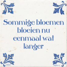 Sommige bloemen bloeien nu eenmaal wat langer - 35 keer bekeken
